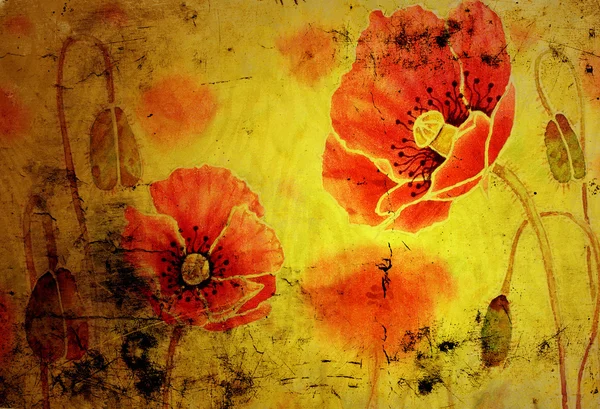 Poppies on the old grunge texture — Stock Photo, Image