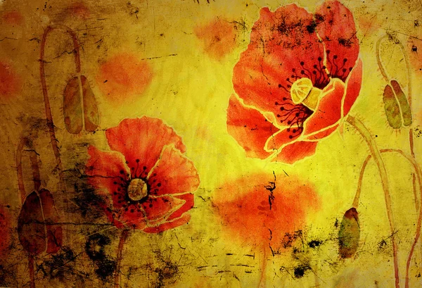 stock image Poppies on the old grunge texture