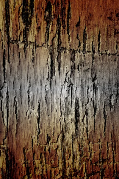 Texture of the old damaged pine wood — Stock Photo, Image