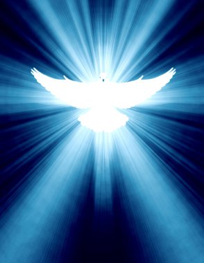 Shining dove with rays on a dark clipart