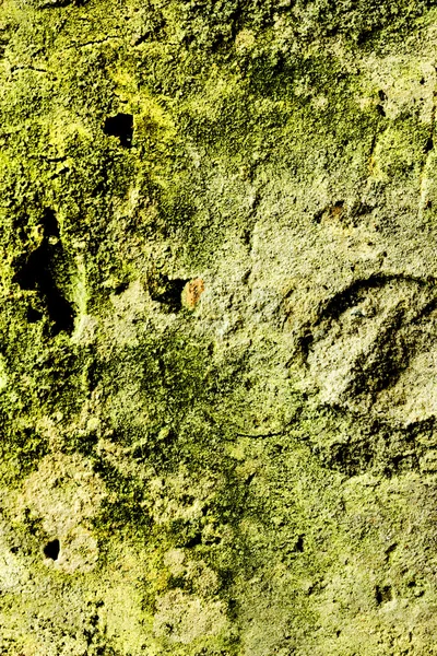 Textured old wall — Stock Photo, Image