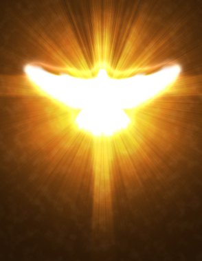 Shining dove with rays on a dark clipart