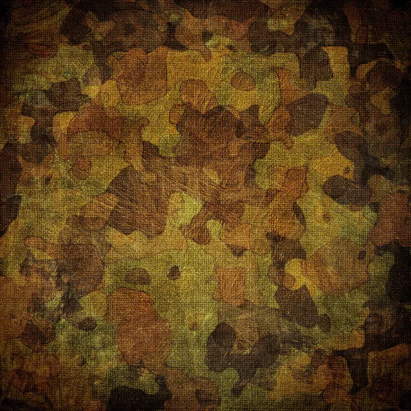 Camouflage miteux — Photo