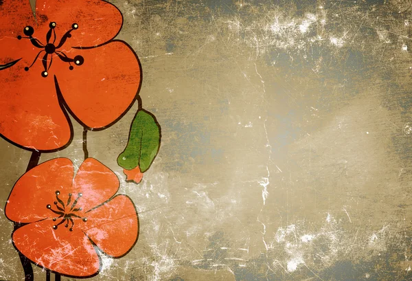 stock image Poppies on the old grunge texture