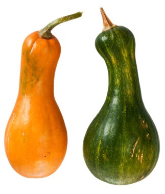 Kabak sarı ve yeşil