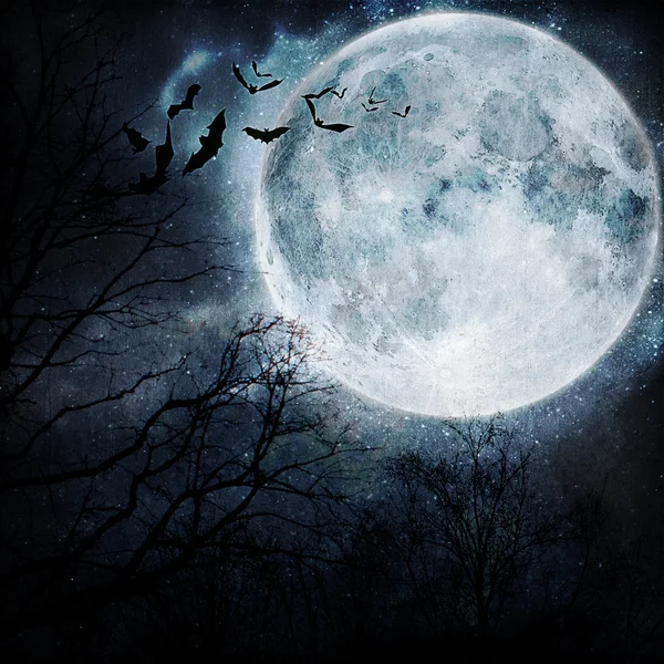 Morcegos voando durante a noite — Fotografia de Stock