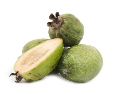 Feijoa clipart