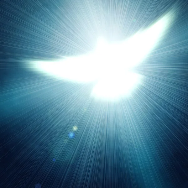 Leuchtende Taube — Stockfoto