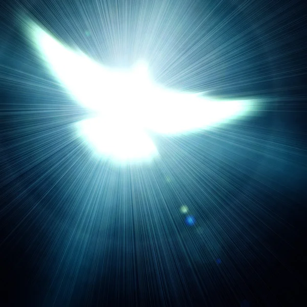 Shining dove — Stock Photo, Image