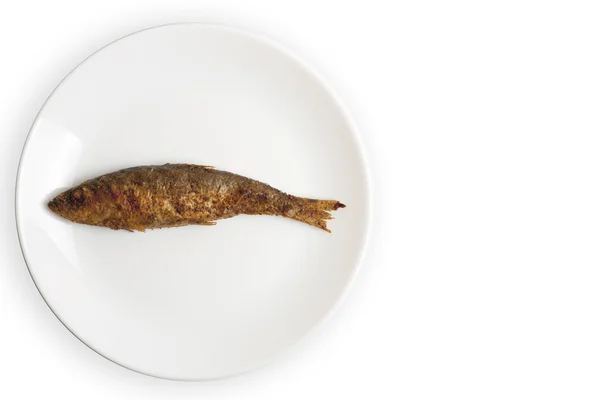 Grillezett hal, egy fehér lemezre — Stock Fotó