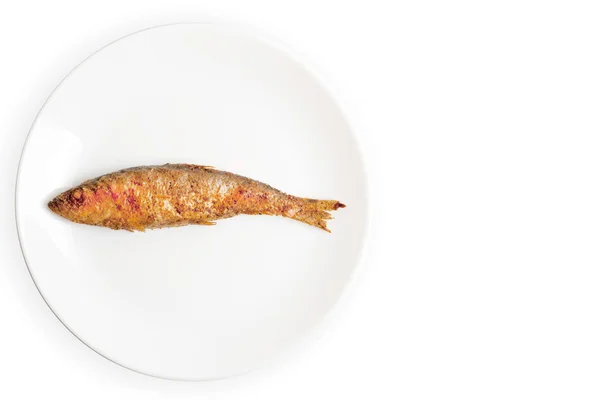Poisson grillé sur une assiette blanche — Photo