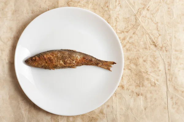 Sült hal, fehér lemez — Stock Fotó