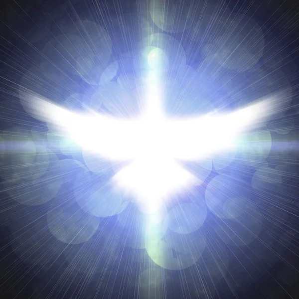 Shining dove with rays on a dark — Stock Photo, Image