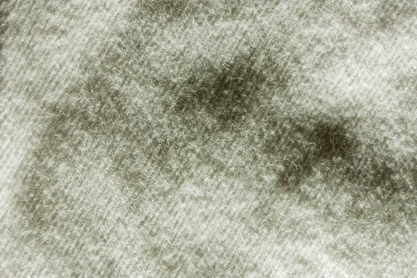 Bumbac alb — Fotografie, imagine de stoc