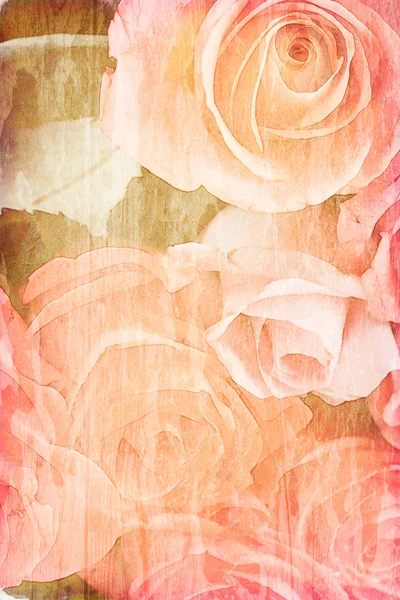 Roses vintage — Stock Photo, Image