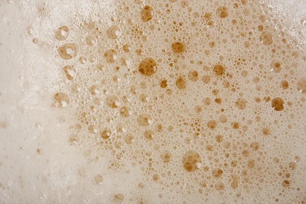 stock image Foam of beer