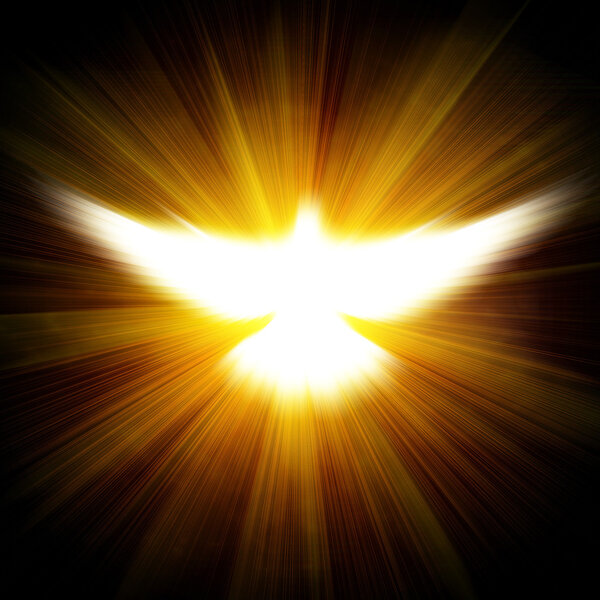 Shining dove with rays on a dark