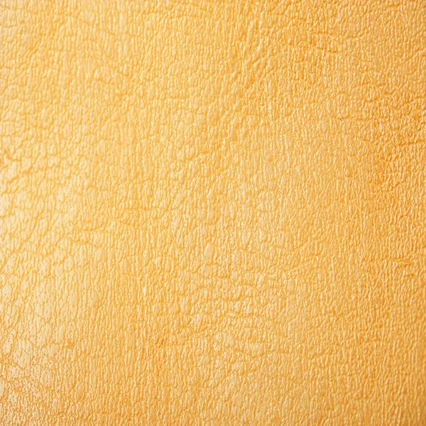 Uma pele amarela — Fotografia de Stock