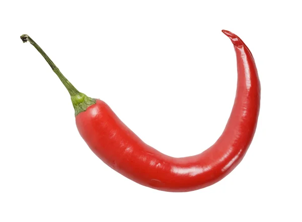 Red hot chili pepper Royalty Free Stock Images