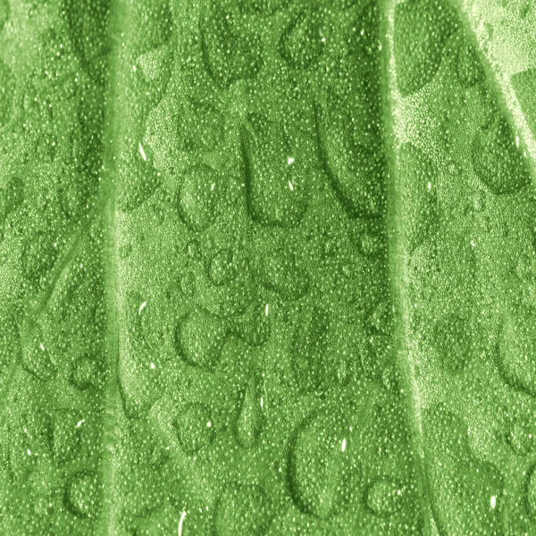 Drops on leaf — Stock Photo, Image