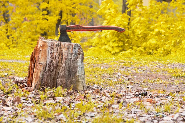 Velho machado em tronco de madeira — Fotografia de Stock