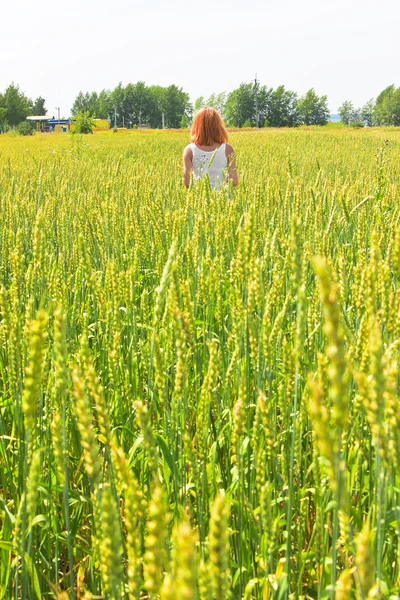 Beautiful young woman walking at wheat field — Stock Photo, Image