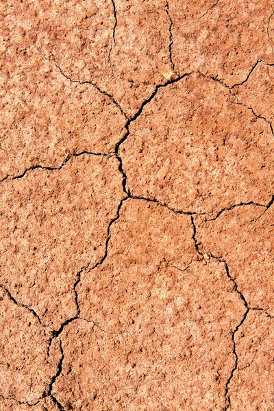 Praskliny na suché zemi — Stock fotografie