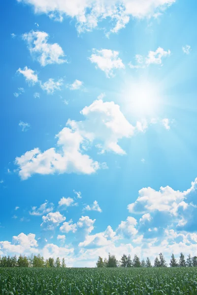 Campo e cielo nuvoloso con sole — Foto Stock