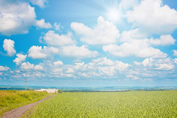 Campo e céu nublado com sol — Fotografia de Stock
