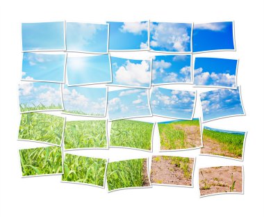 Collage of a twenty five frames with nature clipart