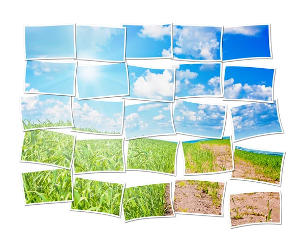 Collage of a twenty five frames with nature — Stock Photo, Image