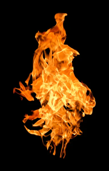 화재 불길 높은 양육 — 스톡 사진