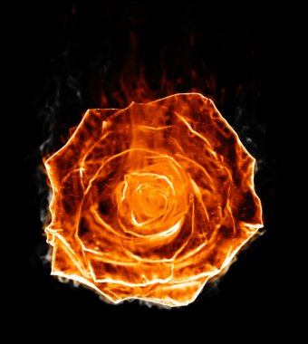 Fiery rose silhouette clipart