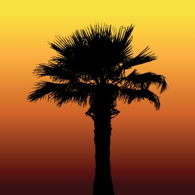 Palm desert. Colorful vector illustration clipart