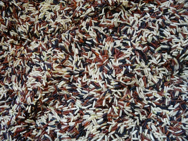 Υπόβαθρο του ρυζιού — Φωτογραφία Αρχείου