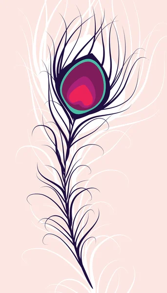 Belleza pluma de pavo real — Archivo Imágenes Vectoriales