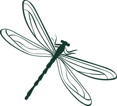 Abstract dragonfly vector illustration clipart