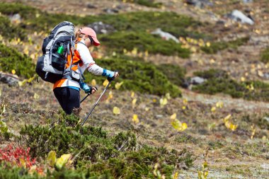 Woman backpacker hiking in mountains clipart