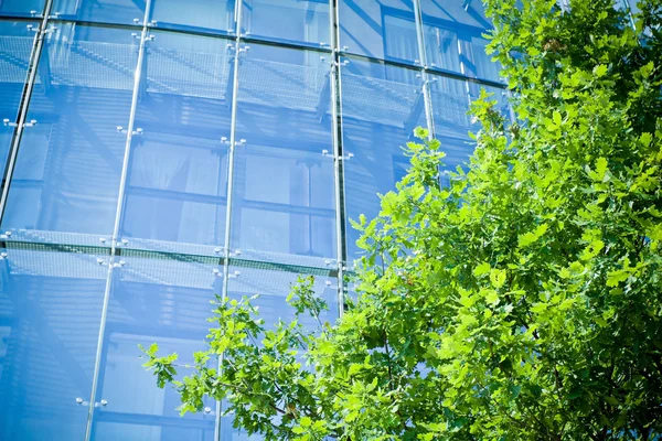 Firmy biuro i zielone drzewo — Zdjęcie stockowe