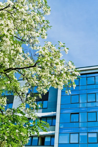 Edifício verde de escritórios — Fotografia de Stock
