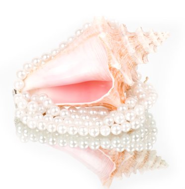 Beautiful exotic shell and pearls on white background. clipart