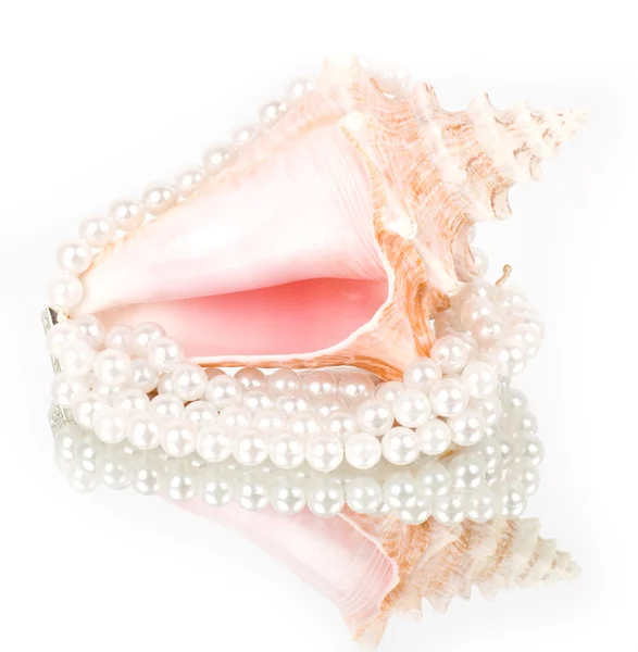 美丽的异国风情贝壳和珍珠白色背景上. — 图库照片