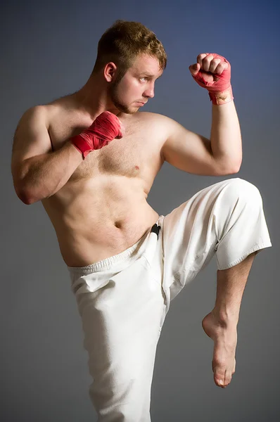 Retrato de boxeador aislado — Foto de Stock