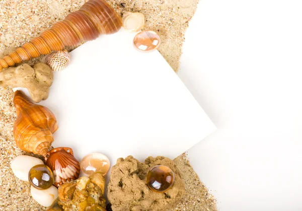 Beautiful exotic shell, stones, crystals with banner add — Stock Photo, Image
