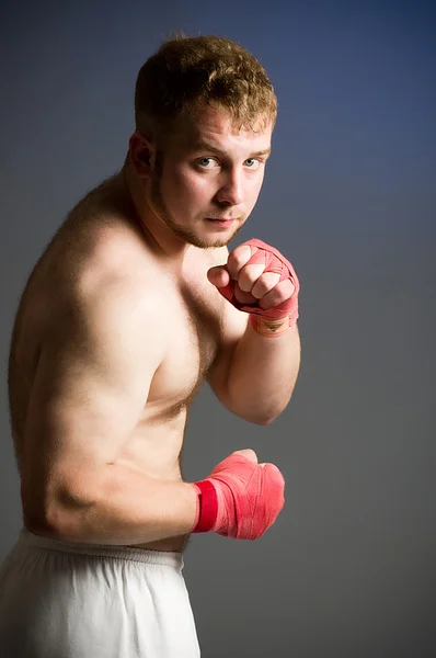 Portrait of boxer isolated — Stock Photo, Image