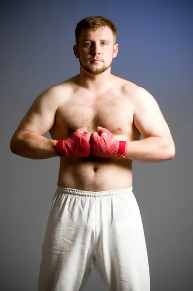 Boxer elszigetelt portréja — Stock Fotó