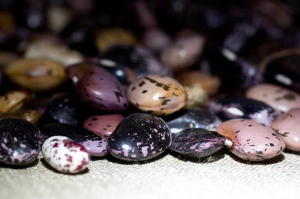 Barevné fazole izolovaných na bílém pozadí — Stock fotografie
