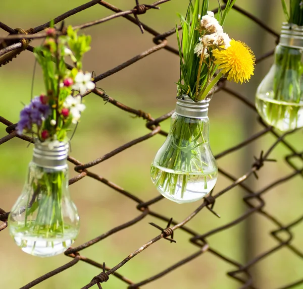stock image Spring flowers in glass bulbs on fence