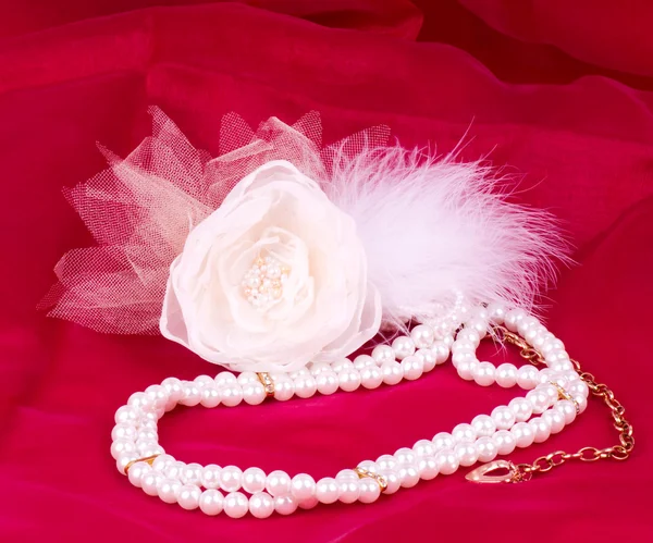 美丽的新娘玫瑰红色背景上 — 图库照片