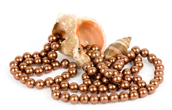 Schöne exotische Muschel und Perlen auf weißem Hintergrund. — Stockfoto